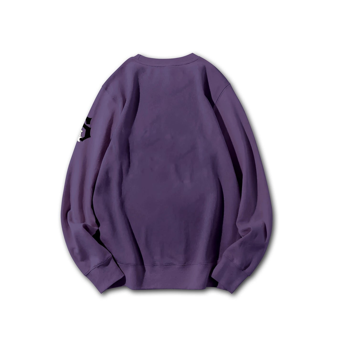 Attack on Titan Aufklärungstrupp Kapuzenpullover