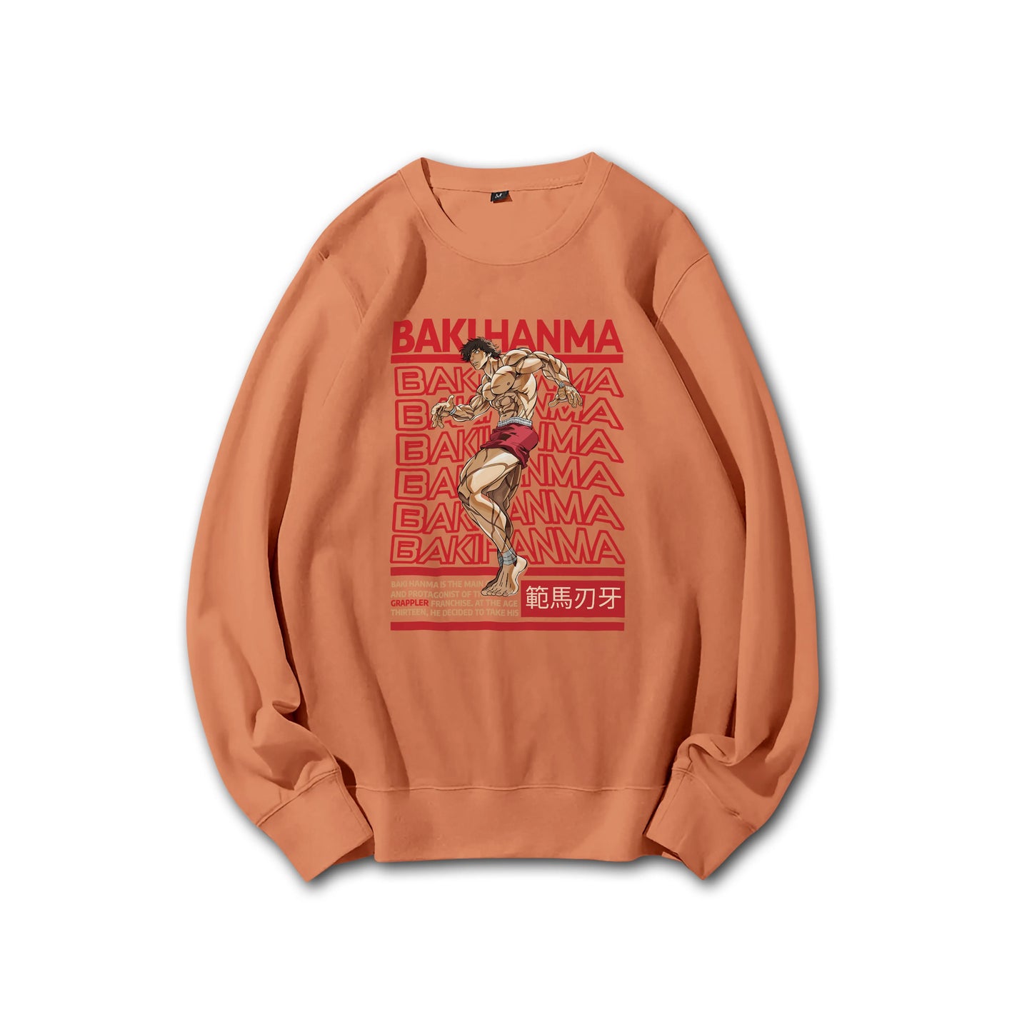 Sweat à capuche Attack on Titan Survey Corps