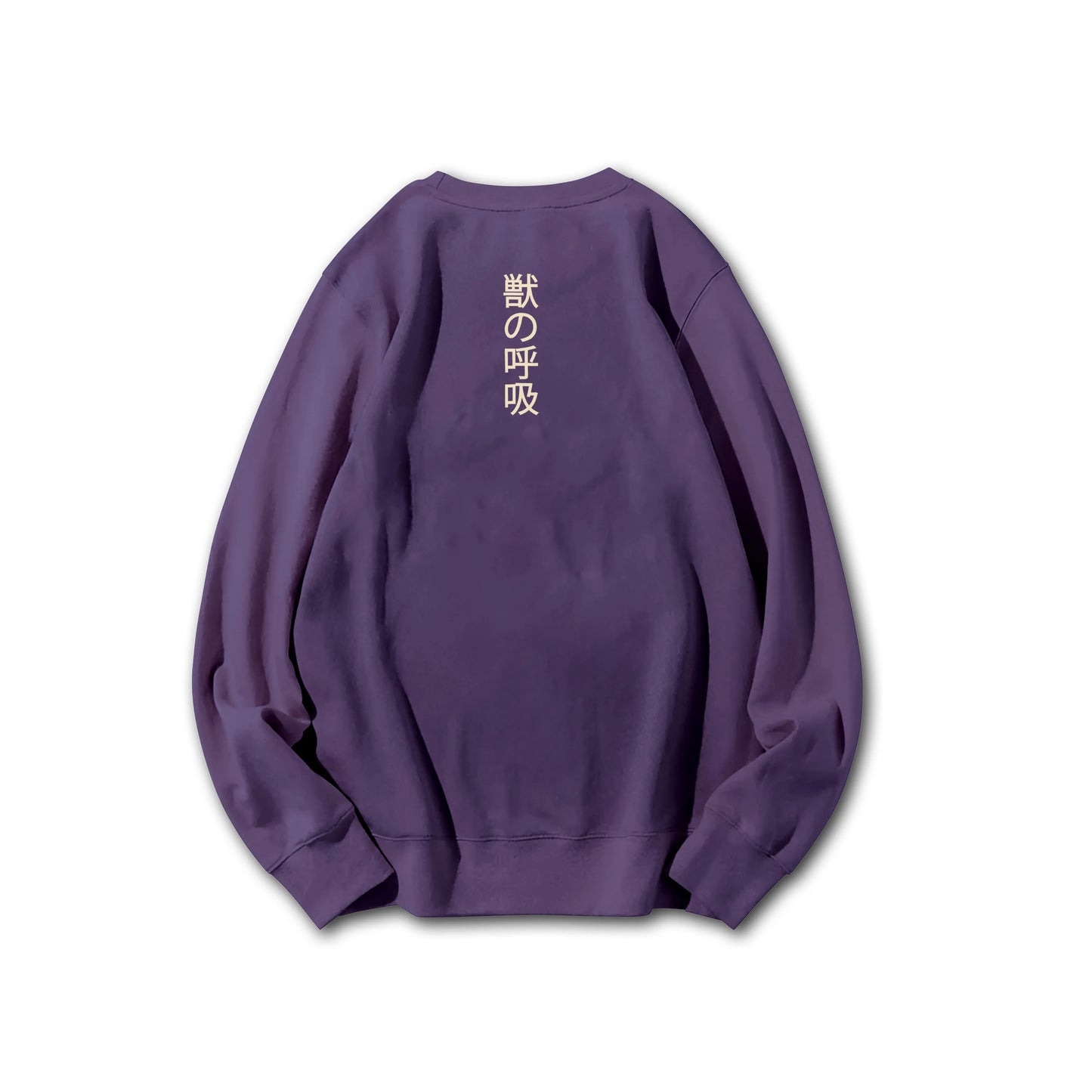 Attack on Titan Aufklärungstrupp Kapuzenpullover
