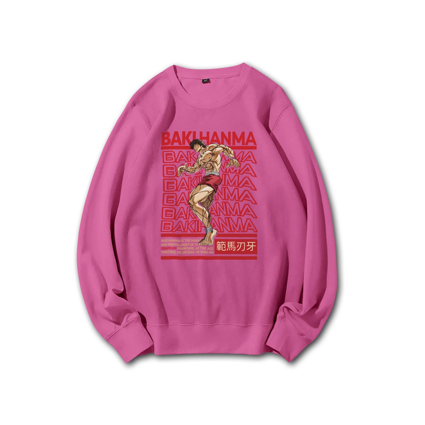 Sweat à capuche Attack on Titan Survey Corps