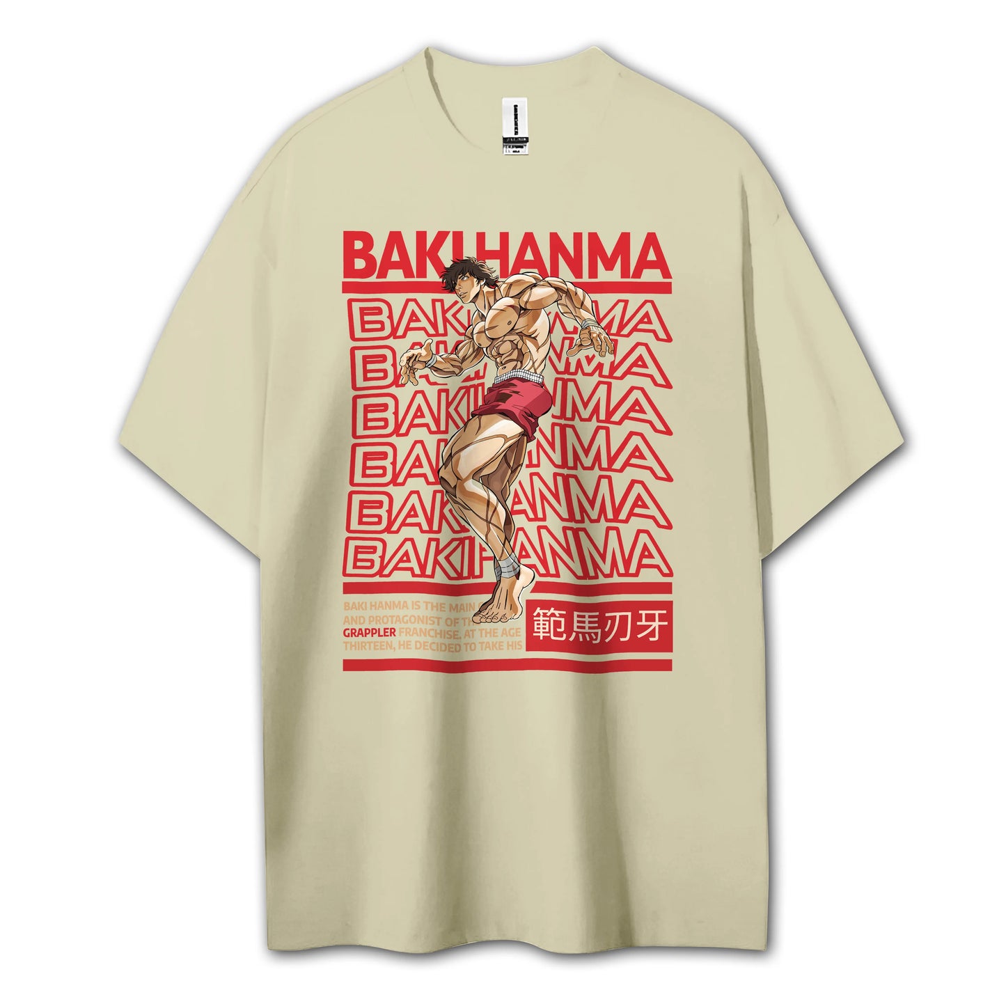 Sweat à capuche Attack on Titan Survey Corps