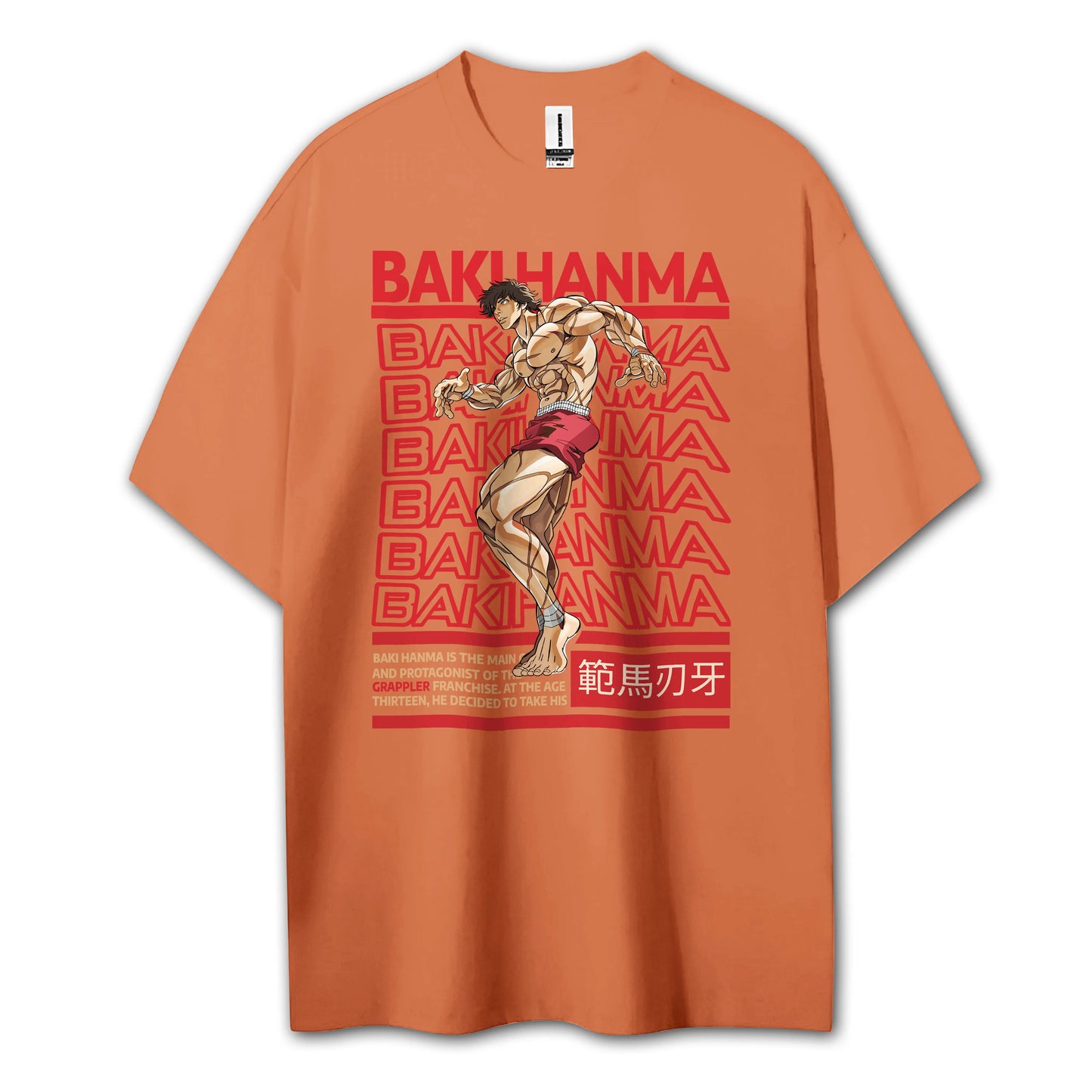 Sweat à capuche Attack on Titan Survey Corps