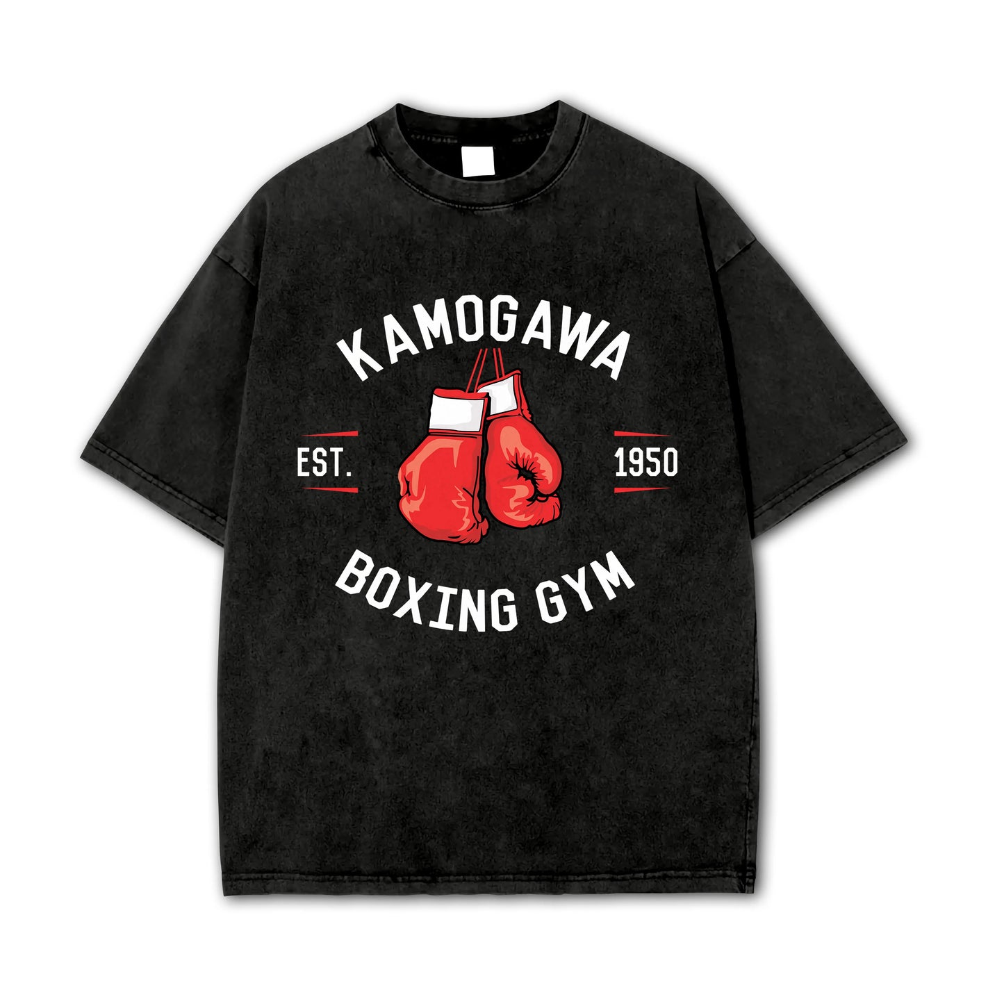 Fighting Spirit Kamogawa Boxing Gym V3 Vintage T-Shirt