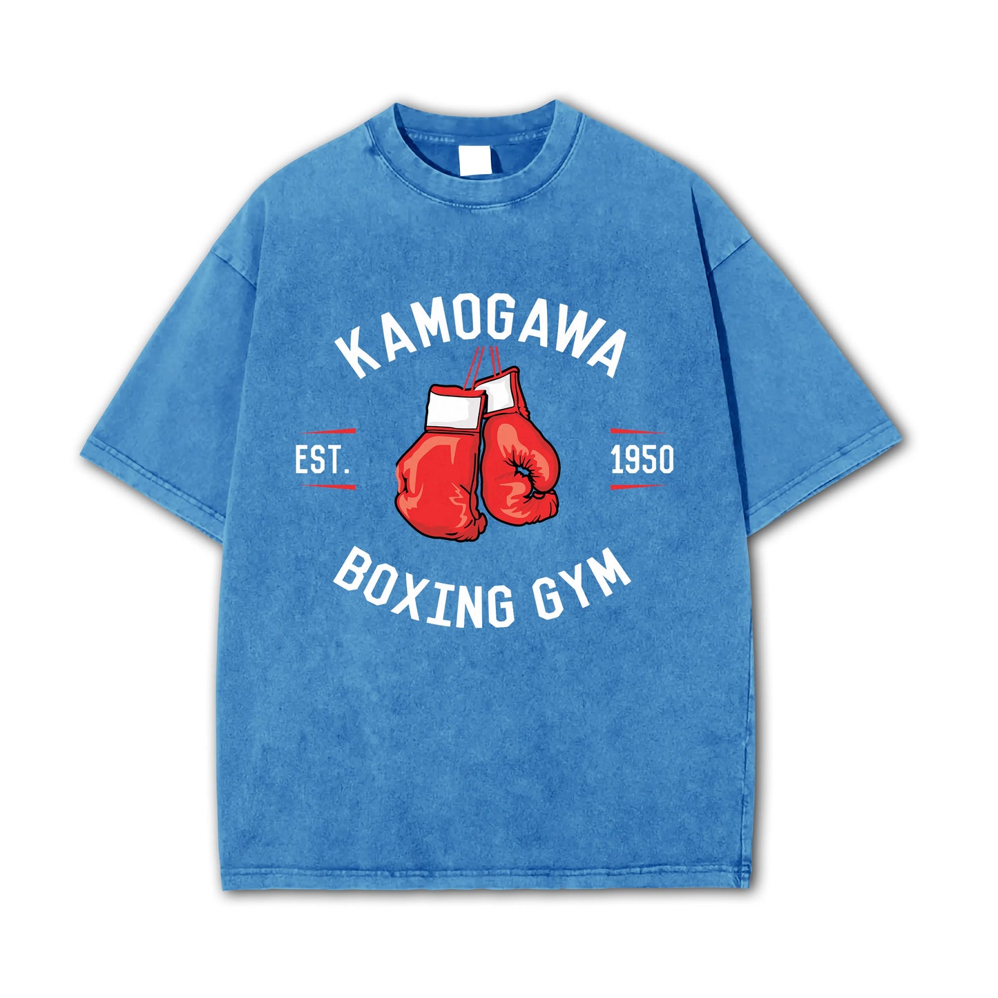Fighting Spirit Kamogawa Boxing Gym V3 Vintage T-Shirt