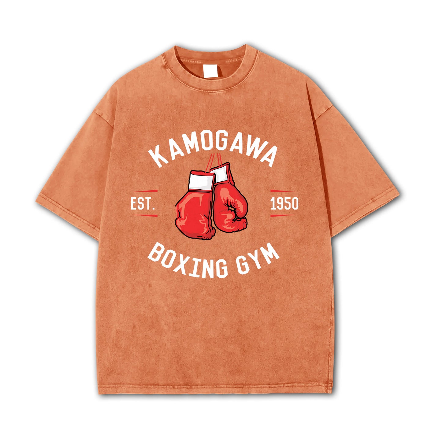 Fighting Spirit Kamogawa Boxing Gym V3 Vintage T-Shirt