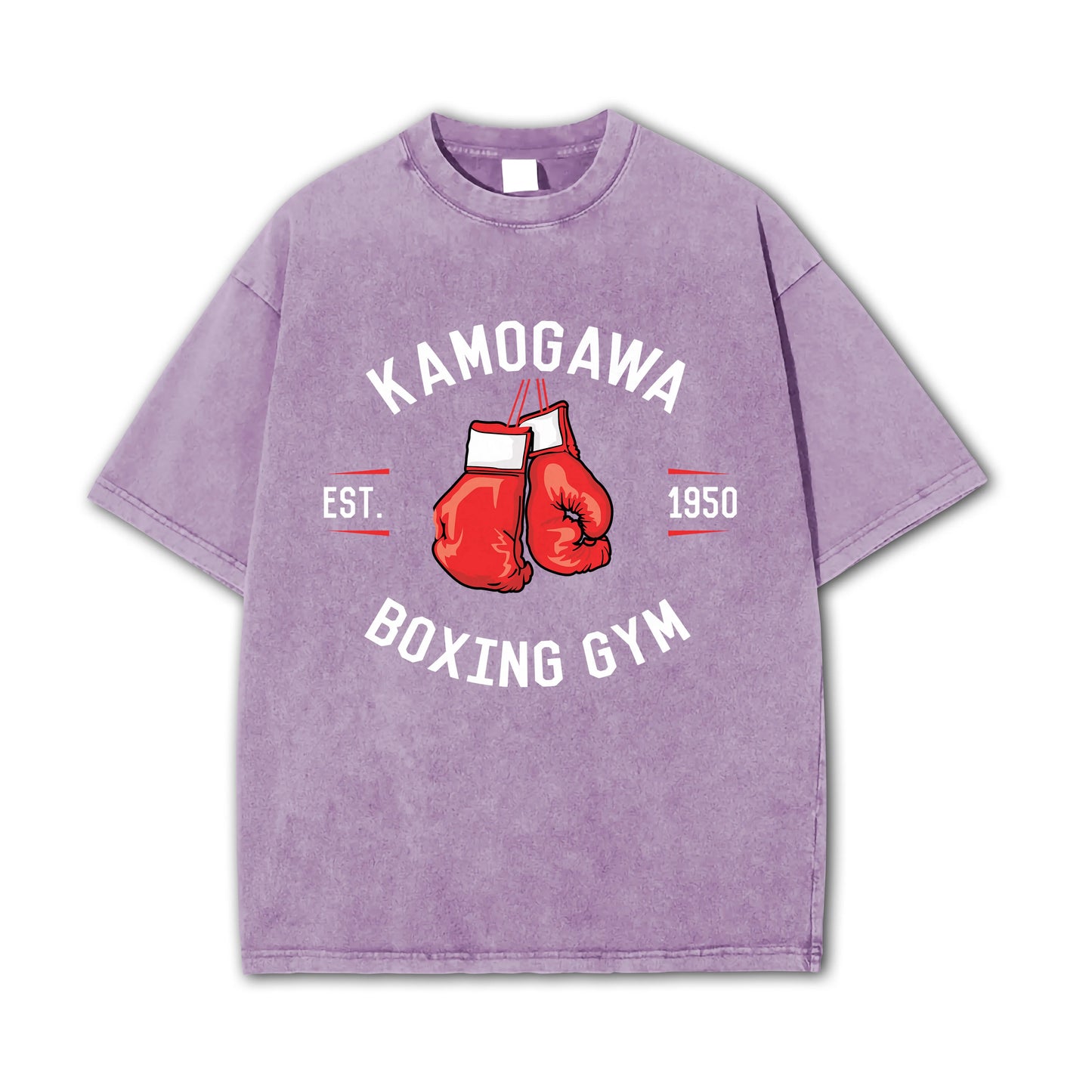 Fighting Spirit Kamogawa Boxing Gym V3 Vintage T-Shirt